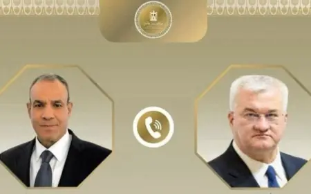 وزير الخارجية يراقب تقدم إنشاء المنصة الإلكترونية لخدمات قنصلية المصريين في الخارج