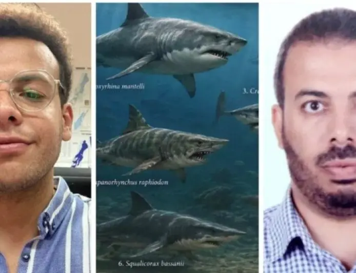 اكتشاف مذهل لمقبرة أسماك القرش عمرها أكثر من 70 مليون عام في صحراء مصر الغربية مع صور رائعة