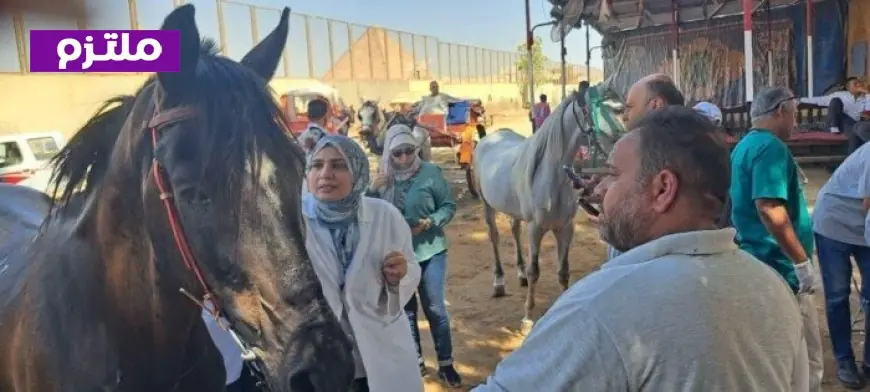 وزير الخارجية المصري يعلن استعداد مصر لدعم فنزويلا في التصدي لتبعات الزلزالين