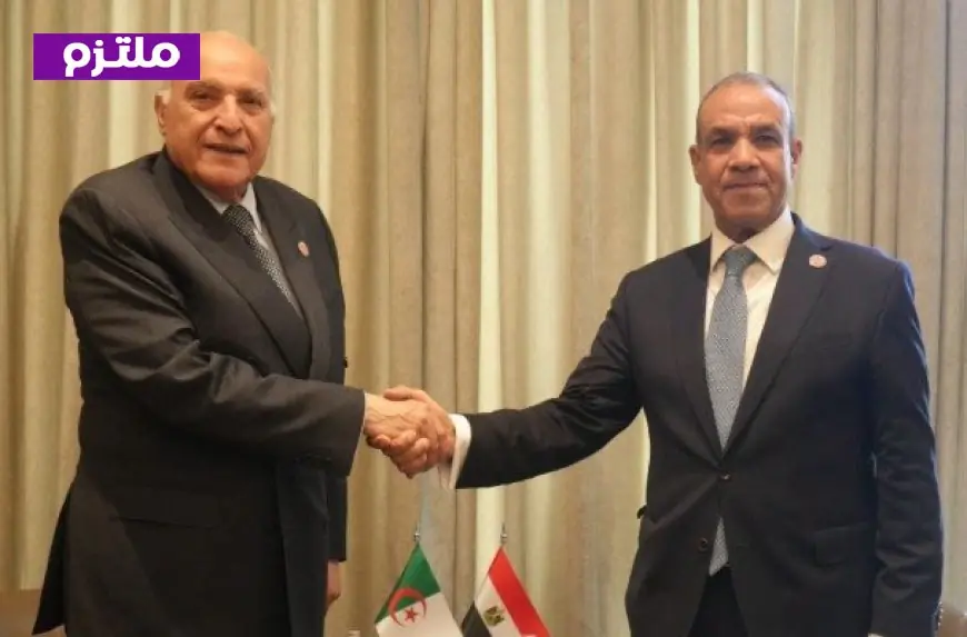 وزير خارجية مصر والجزائر يؤكدان ضرورة الحفاظ على وحدة ليبيا واستقرارها
