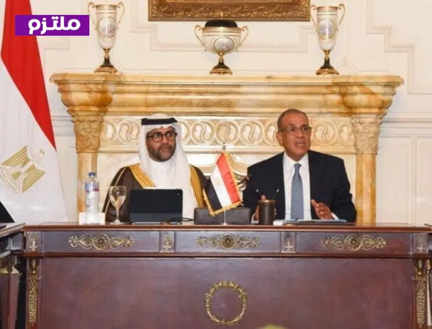 وزير الخارجية يؤكد التزام مصر بتعزيز نشاط الشركات المصرية في إفريقيا