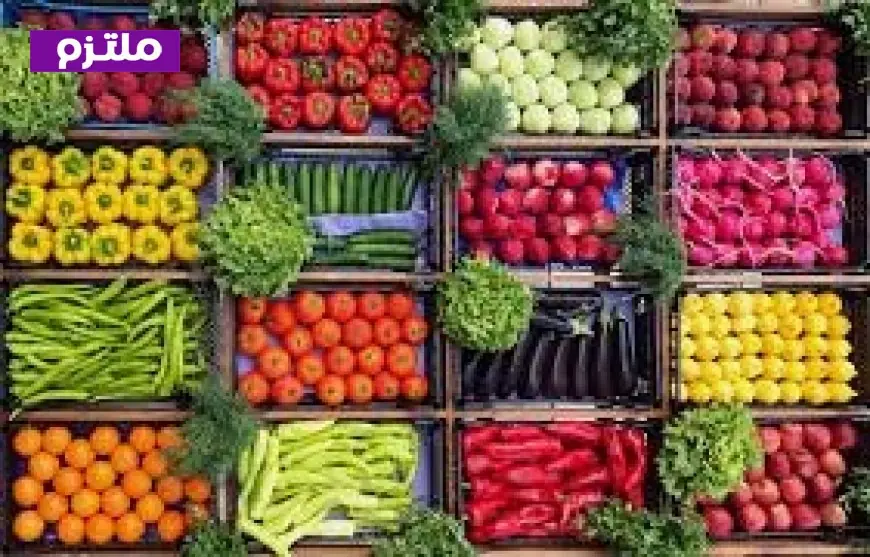 أسعار الخضراوات اليوم الثلاثاء 18 أغسطس 2026 تعرف على سعر البطاطس وأبرز الخضروات في الأسواق