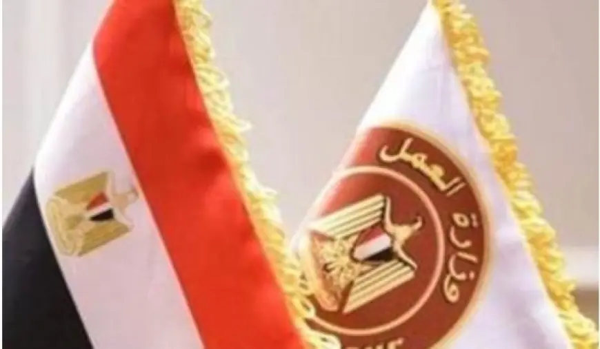 وظائف شاغرة للمهندسين والفنيين برواتب تصل إلى 16 ألف جنيه من وزارة العمل