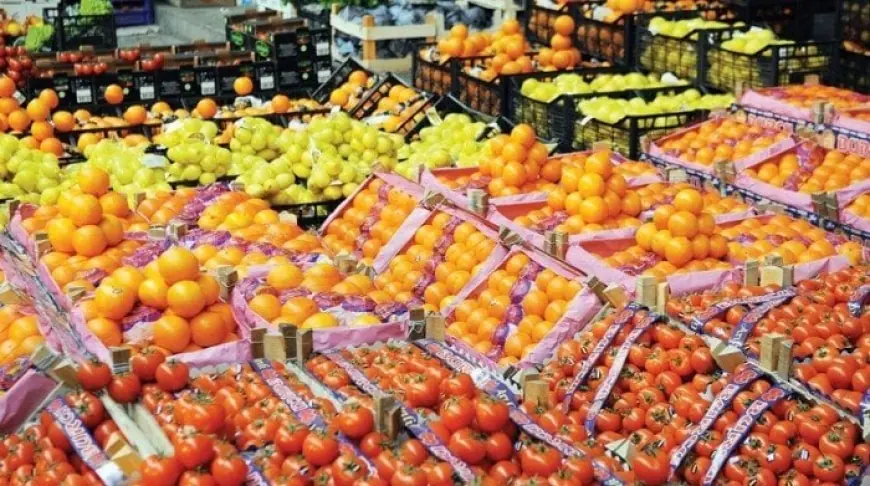 الصادرات الزراعية تحفز الاقتصاد القومي بزيادة 6.8 مليون طن منذ بداية العام