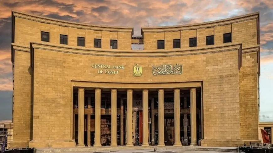 البنك المركزي يوضح ضوابط فرع بنك مصر في الإمارات تجاه الإجراءات الأمريكية