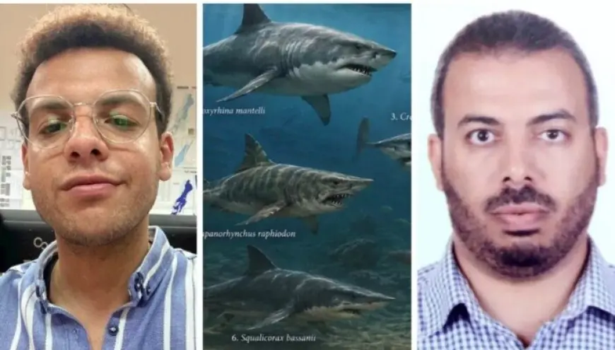 اكتشاف مذهل لمقبرة أسماك القرش عمرها أكثر من 70 مليون عام في صحراء مصر الغربية مع صور رائعة