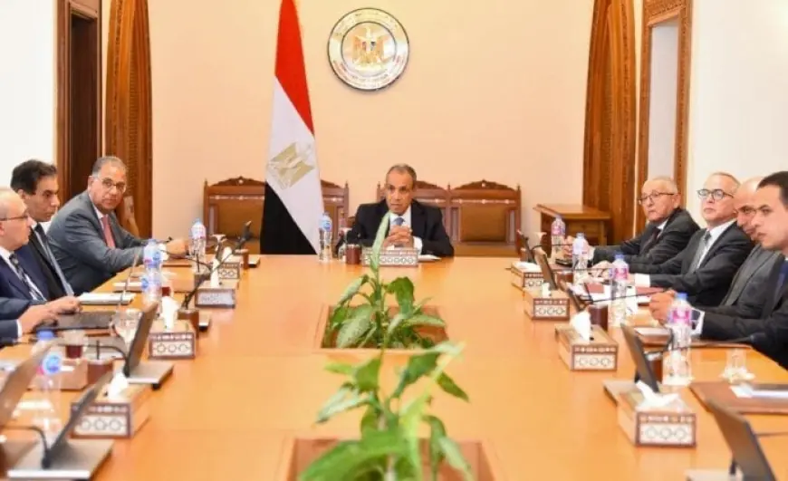 وزير الخارجية يراقب تقدم إنشاء المنصة الإلكترونية لخدمات قنصلية المصريين في الخارج