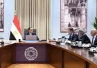 مدبولي يناقش مع جونفارى إندستريز الإسبانية فرص استثمارية جديدة في قطاع السيارات والطاقة المتجددة