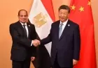 الرئيس الصيني يدعو مصر والصين لتعزيز حماية مصالح الدول النامية وتعزيز النزاهة والعدالة الدولية