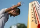 توقعات الطقس اليوم في القاهرة درجات حرارة مرتفعة تصل إلى 37 مع رياح وشبورة صباحية
