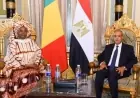 وزير الخارجية يعلن التزام مصر بتعزيز التعاون مع مالي في جميع المجالات