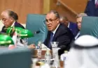 وزير الخارجية المصري يؤكد إدانته للاعتداءات الإيرانية على الدول العربية