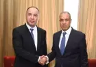 عبد العاطي ي reaffirm دعم مصر لوحدة ليبيا وسلامة أراضيها