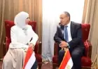 مصر تعمل بجد لتخفيف المعاناة الإنسانية عن الشعب اليمني الشقيق