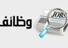 برواتب تصل إلى 30 ألف جنيه فرص عمل جديدة تصل إلى 860 وظيفة تعلن عنها وزارة العمل