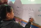 نجاح البرنامج القومي لتنمية مهارات القراءة والكتابة يقلل عدد التلاميذ من 199 ألف إلى 53.8 ألف