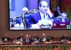الرئيس السيسي يتصدر الصورة الرسمية لرؤساء دول وحكومات بريكس في حدث تاريخي