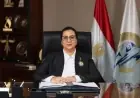 المستشارة أمل عمار تؤكد قوة حضور المرأة المصرية في جميع المجالات