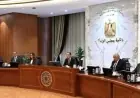 مدبولي يطلق مشروع تخضير المحافظات لتعزيز التشجير واستغلال المساحات الخالية