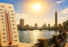 توقعات حالة الطقس غدا تتضمن شبورة كثيفة ورياح ورطوبة مع ارتفاع المحسوسة إلى 41 درجة