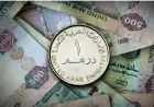 تحديث سعر الدرهم الإماراتي في مصر ليوم الأحد 20 سبتمبر 2026