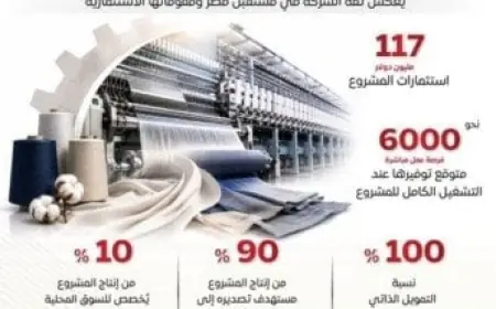 الوزراء يكشفون عن خطة «جازان» الصينية لاستثمار 117 مليون دولار في إقامة مجمع صناعي بالقنطرة