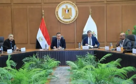 الأعلى للتعليم التكنولوجي يوافق على تغيير مسمى جامعة حلوان إلى العاصمة