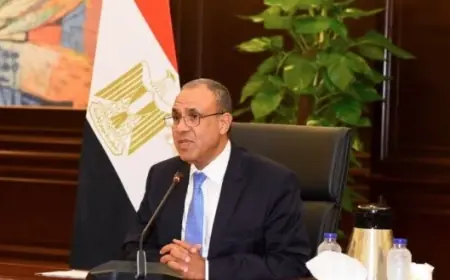 وزير الخارجية يؤكد استعداد بلاده لتقديم الدعم الشامل لمكافحة الإرهاب في بوركينا فاسو