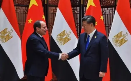 الرئيس السيسي يهنئ بمناسبة الذكرى السبعين للعلاقات المصرية الصينية