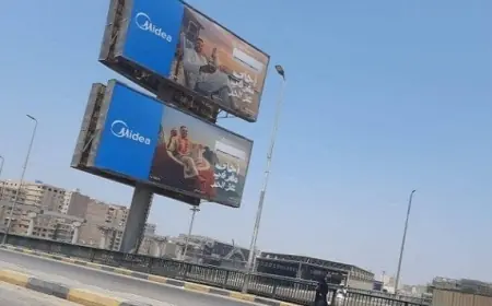 بدء الجولات الميدانية لهيئة تنظيم الإعلانات لضبط المخالفات في الدقي والعجوزة بالجيزة