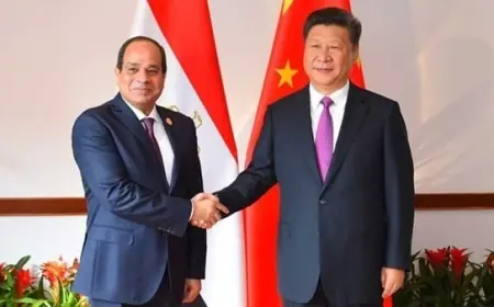 الرئيس السيسي ونظيره الصيني يطلقان مشروعات جديدة في المنطقة الاقتصادية لقناة السويس