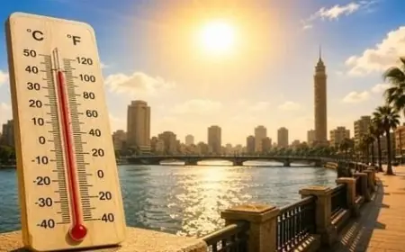 توقعات الطقس غدا في القاهرة أجواء حارة مع شبورة كثيفة ودرجة حرارة محسوسة تصل إلى 37 درجة