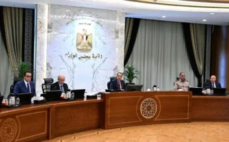 مدبولي يعلن عن تنظيم معارض أهلا مدارس لتلبية احتياجات المواطنين من السلع بأسعار تنافسية