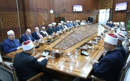 شيخ الأزهر يطالب بتوحيد جهود علماء الأمة لحماية الهوية الإسلامية