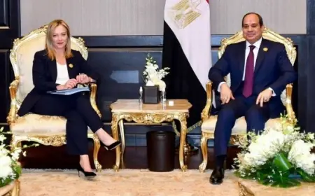 الرئيس السيسي يدعو رئيسة وزراء إيطاليا لزيارة مصر في رسالة خطية خاصة