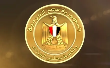 الحكومة تعلن عن خطتها للمشاركة في إنشاء مشروع عمراني ضخم بالمحلة الكبرى