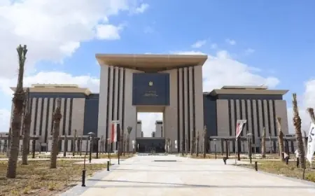 وزارة الخارجية تطلق مبادرة علاجك في مصر لمساندة المصريين المقيمين بالخارج