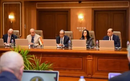 اجتماع اللجنة العليا المصرية الإيطالية في القاهرة برئاسة وزيري الخارجية لتعزيز التعاون الثنائي