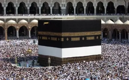 الغرف السياحية تؤكد أن التحول الرقمي وتطبيق رفيق يعززان كفاءة نظام الحج