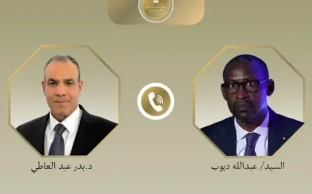 وزير الخارجية يبحث مع نظيره المالي تعزيز العلاقات الثنائية وأحدث تطورات منطقة الساحل
