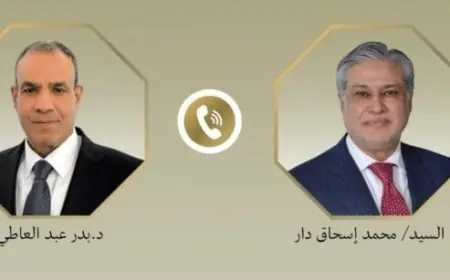 مصر وباكستان تشددان على ضرورة تنفيذ مذكرة التفاهم بين أمريكا وإيران