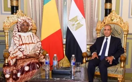 وزير الخارجية يعلن التزام مصر بتعزيز التعاون مع مالي في جميع المجالات