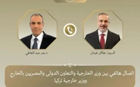 مصر وتركيا تعززان التعاون لاحتواء التصعيد في المنطقة وتأكيد أهمية العمل المشترك