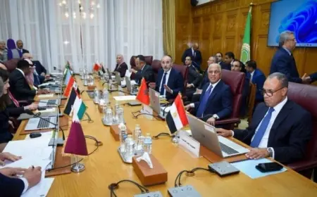 مصر تُشدد على موقفها الرافض لتهجير الفلسطينيين وعبد العاطي يطالب بتحرك عربي ودولي عاجل لحماية القدس