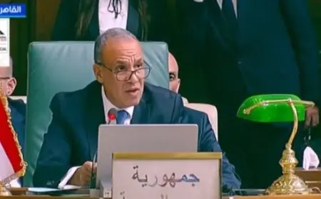 عبد العاطي يكشف عن رؤية مصرية جديدة لترتيبات أمنية تعزز حماية الأمن العربي