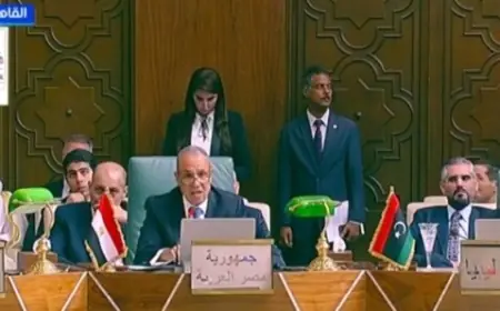 وزير الخارجية يؤكد رفض أي إجراءات أحادية تؤثر على مياه حوض النيل