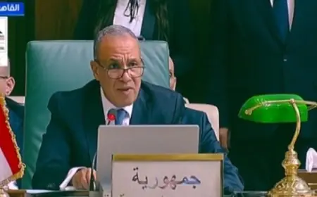 عبد العاطي يؤكد رفض مصر لفرض حقائق جديدة على الأراضي الفلسطينية