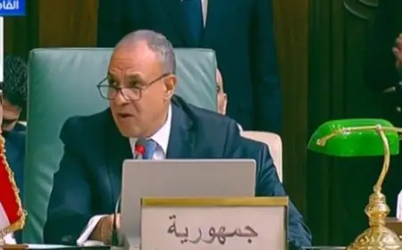 وزير الخارجية يؤكد إنهاء الاحتلال الإسرائيلي هو مفتاح السلام الدائم والشامل في المنطقة