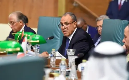 وزير الخارجية المصري يؤكد إدانته للاعتداءات الإيرانية على الدول العربية