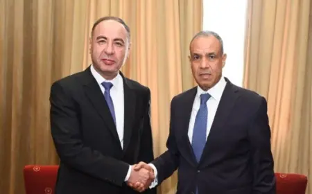 عبد العاطي ي reaffirm دعم مصر لوحدة ليبيا وسلامة أراضيها